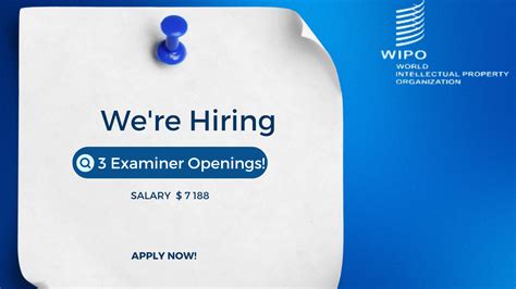 ipo careers|Jobs at WIPO .